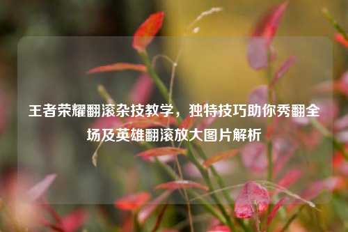 王者荣耀翻滚杂技教学,独特技巧助你秀翻全场及英雄翻滚放大图片解析