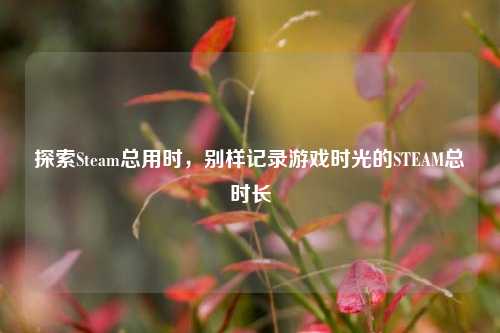 探索Steam总用时,别样记录游戏时光的STEAM总时长