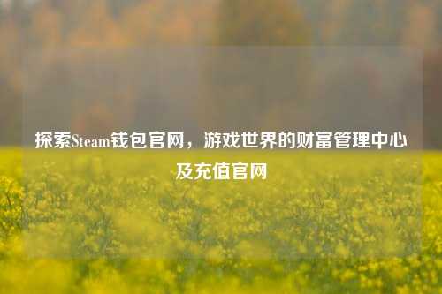 探索Steam钱包官网,游戏世界的财富管理中心及充值官网