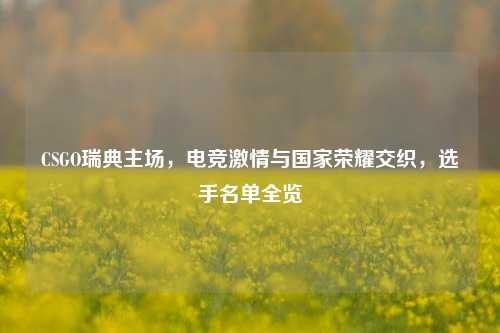 CSGO瑞典主场,电竞激情与国家荣耀交织,选手名单全览