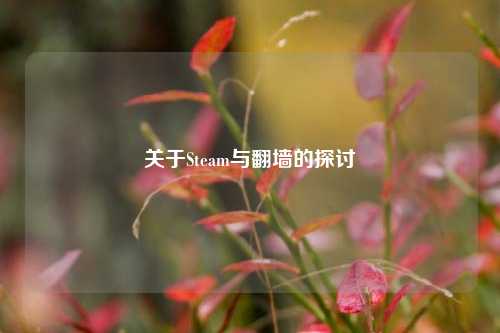 关于Steam与翻墙的探讨