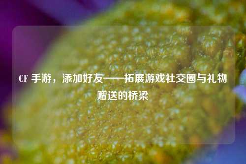 CF 手游,添加好友——拓展游戏社交圈与礼物赠送的桥梁