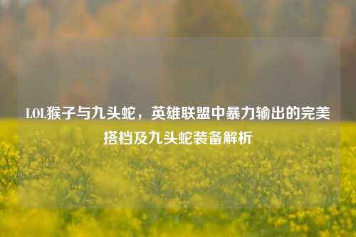 LOL猴子与九头蛇,英雄联盟中暴力输出的完美搭档及九头蛇装备解析