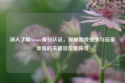 深入了解Steam身份认证,保障游戏安全与玩家体验的关键及位置探寻