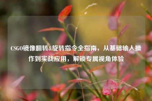 CSGO镜像翻转&旋转指令全指南,从基础输入操作到实战应用,解锁专属视角体验