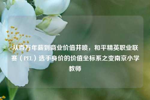 从百万年薪到商业价值井喷，和平精英职业联赛（PEL）选手身价的价值坐标系之变南京小学教师