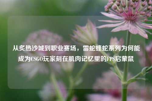 从炙热沙城到职业赛场,雷蛇蝰蛇系列为何能成为CSGO玩家刻在肌肉记忆里的FPS启蒙鼠