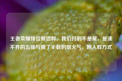 王者荣耀排位微信群，我们打的不是星，是凑不齐的五排与攒了半载的烟火气，附入群方式