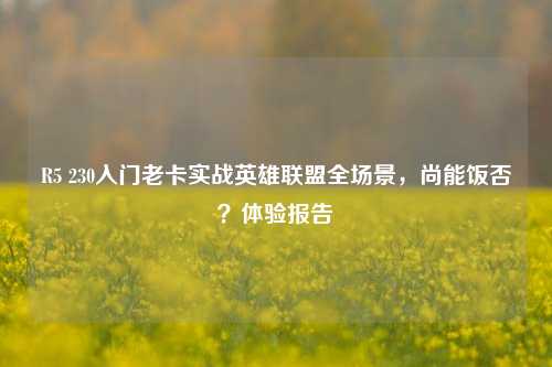 R5 230入门老卡实战英雄联盟全场景，尚能饭否？体验报告