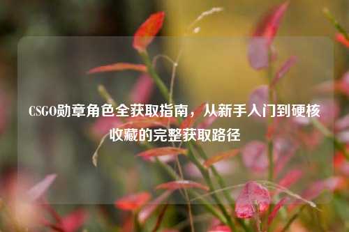 CSGO勋章角色全获取指南,从新手入门到硬核收藏的完整获取路径