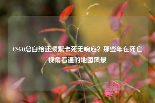 CSGO总白给还频繁卡死无响应？那些年在死亡视角看遍的地图风景