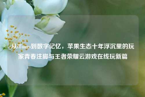 从iTunes到数字记忆,苹果生态十年浮沉里的玩家青春注脚与王者荣耀云游戏在线玩新篇