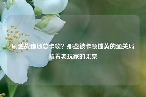 刷逆战猎场总卡帧？那些被卡顿搅黄的通关局藏着老玩家的无奈