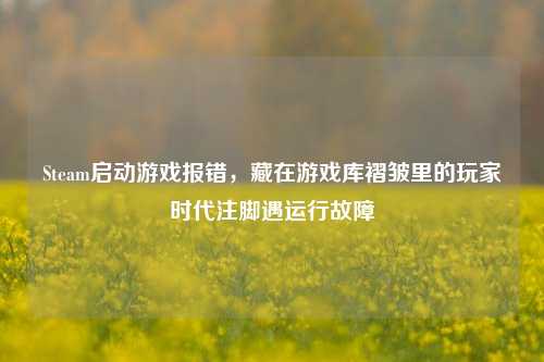Steam启动游戏报错,藏在游戏库褶皱里的玩家时代注脚遇运行故障