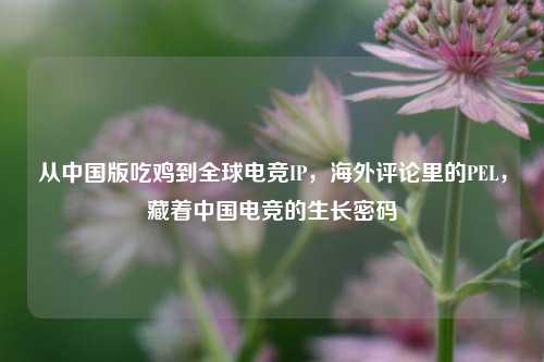 从中国版吃鸡到全球电竞IP，海外评论里的PEL，藏着中国电竞的生长密码