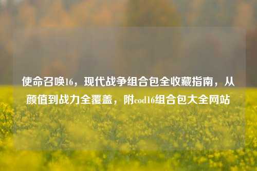 使命召唤16,现代战争组合包全收藏指南,从颜值到战力全覆盖,附cod16组合包大全网站