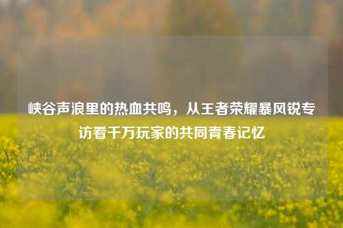 峡谷声浪里的热血共鸣，从王者荣耀暴风锐专访看千万玩家的共同青春记忆