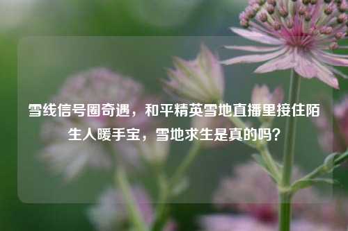 雪线信号圈奇遇，和平精英雪地直播里接住陌生人暖手宝，雪地求生是真的吗？