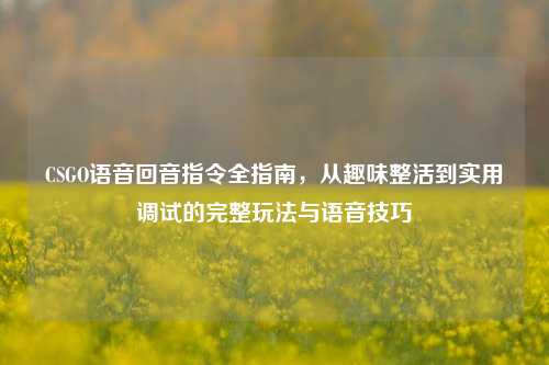 CSGO语音回音指令全指南，从趣味整活到实用调试的完整玩法与语音技巧