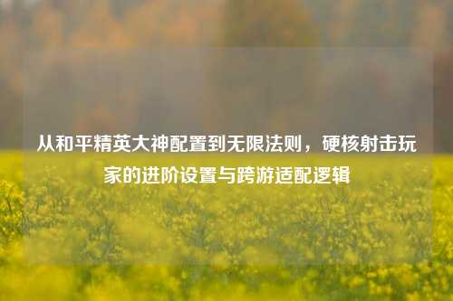 从和平精英大神配置到无限法则,硬核射击玩家的进阶设置与跨游适配逻辑