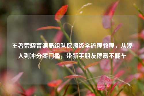 王者荣耀青铜局组队保姆级全流程教程,从凑人到冲分零门槛,带新手朋友稳赢不翻车