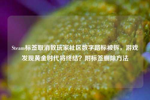 Steam标签取消致玩家社区数字路标被拆,游戏发现黄金时代将终结?附标签删除方法