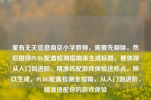 里有无关信息南京小学教师,需要先剔除,然后围绕PUBG配置检测指南来生成标题,要体现从入门到进阶、精准匹配游戏体验这些点,所以生成,PUBG配置检测全指南,从入门到进阶,精准适配你的游戏体验