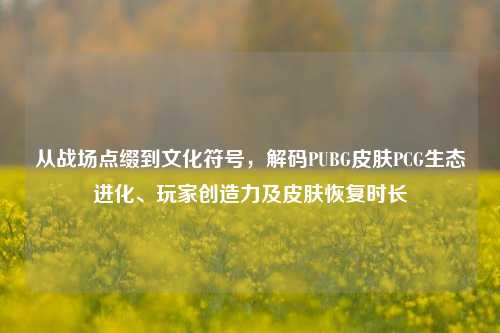 从战场点缀到文化符号,解码PUBG皮肤PCG生态进化、玩家创造力及皮肤恢复时长