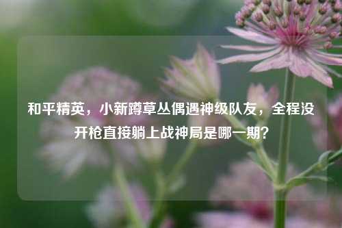 和平精英，小新蹲草丛偶遇神级队友，全程没开枪直接躺上战神局是哪一期？