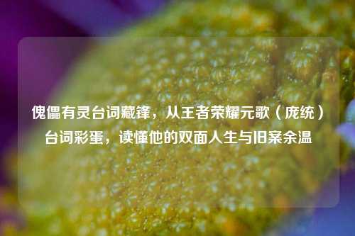 傀儡有灵台词藏锋，从王者荣耀元歌（庞统）台词彩蛋，读懂他的双面人生与旧案余温