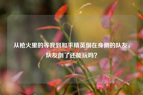 从枪火里的等我到和平精英倒在身侧的队友，队友倒了还能玩吗？