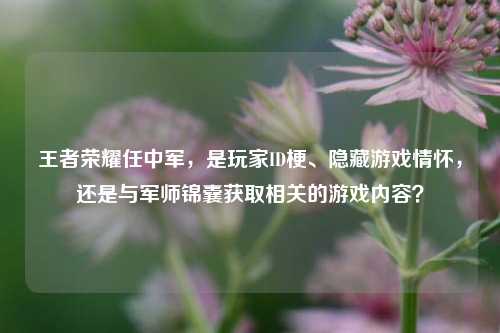 王者荣耀任中军，是玩家ID梗、隐藏游戏情怀，还是与军师锦囊获取相关的游戏内容？