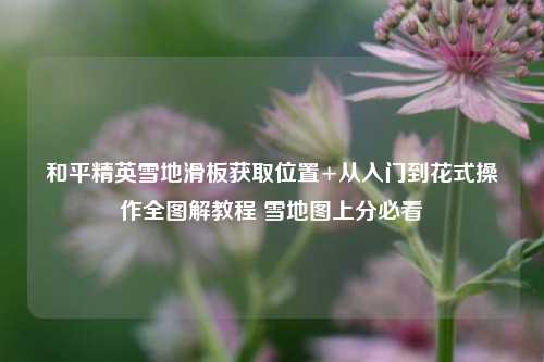 和平精英雪地滑板获取位置+从入门到花式操作全图解教程 雪地图上分必看