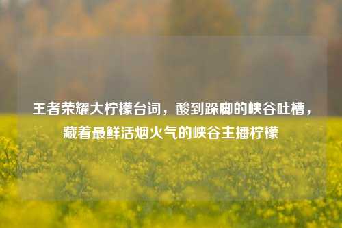 王者荣耀大柠檬台词，酸到跺脚的峡谷吐槽，藏着最鲜活烟火气的峡谷主播柠檬