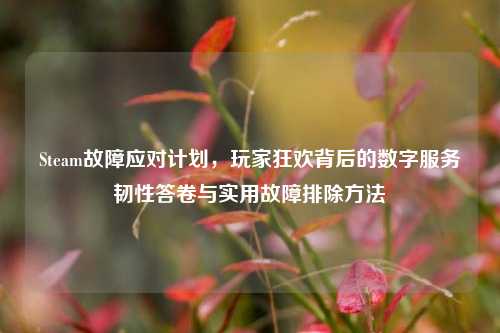 Steam故障应对计划，玩家狂欢背后的数字服务韧性答卷与实用故障排除方法