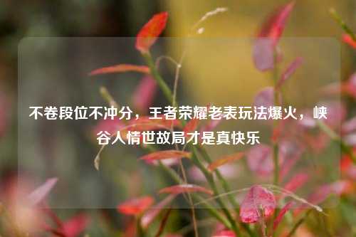 不卷段位不冲分,王者荣耀老表玩法爆火,峡谷人情世故局才是真快乐