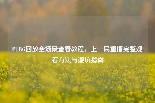 PUBG回放全场景查看教程，上一局重播完整观看方法与避坑指南