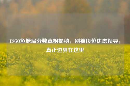 CSGO鱼塘局分数真相揭秘,别被段位焦虑误导,真正边界在这里