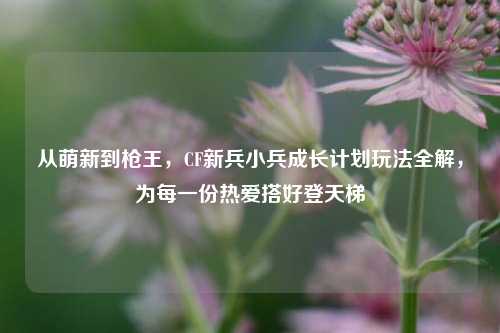 从萌新到枪王,CF新兵小兵成长计划玩法全解,为每一份热爱搭好登天梯