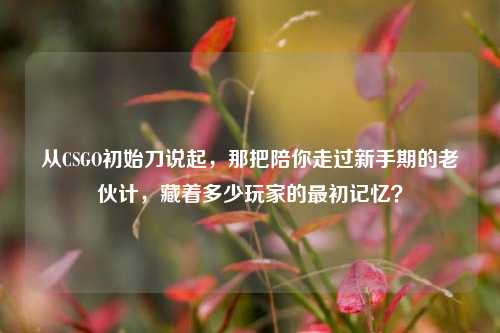 从CSGO初始刀说起,那把陪你走过新手期的老伙计,藏着多少玩家的最初记忆?