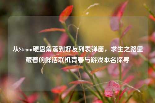 从Steam硬盘角落到好友列表弹窗,求生之路里藏着的鲜活联机青春与游戏本名探寻