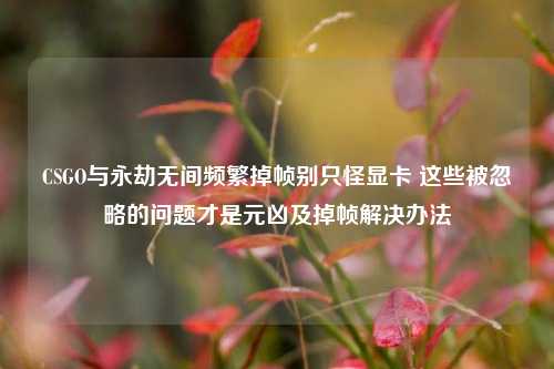 CSGO与永劫无间频繁掉帧别只怪显卡 这些被忽略的问题才是元凶及掉帧解决办法