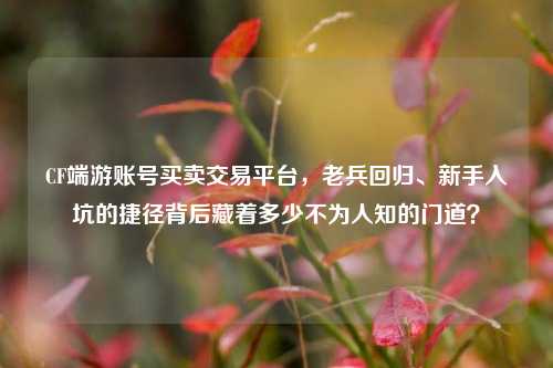 CF端游账号买卖交易平台,老兵回归、新手入坑的捷径背后藏着多少不为人知的门道?