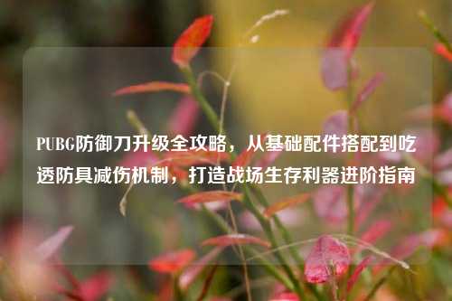 PUBG防御刀升级全攻略,从基础配件搭配到吃透防具减伤机制,打造战场生存利器进阶指南