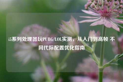 i5系列处理器玩PUBG/LOL实测,从入门到高帧 不同代际配置优化指南
