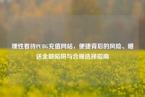 理性看待PUBG充值网站，便捷背后的风险、赠送金额陷阱与合规选择指南
