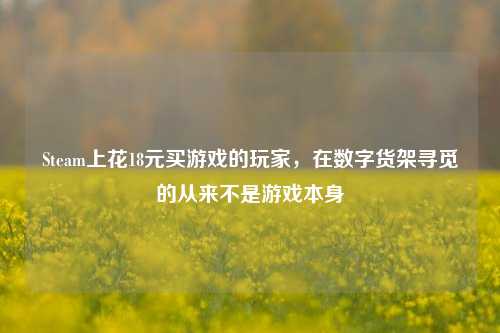 Steam上花18元买游戏的玩家,在数字货架寻觅的从来不是游戏本身