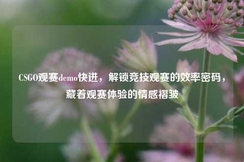 CSGO观赛demo快进，解锁竞技观赛的效率密码，藏着观赛体验的情感褶皱