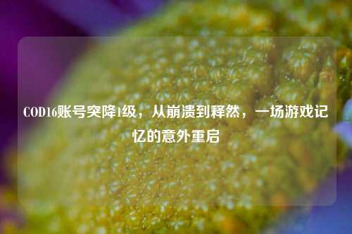 COD16账号突降1级，从崩溃到释然，一场游戏记忆的意外重启