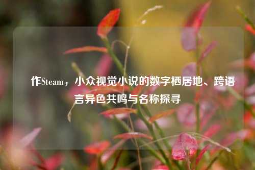 駄作Steam,小众视觉小说的数字栖居地、跨语言异色共鸣与名称探寻